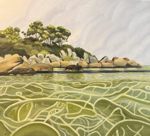 Soft light 500x500mm oil on canvas - The Gardens, Bay of Fires
