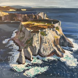 The island no. 2 460x460mm acrylic on canvas. Tasman Island, Tasmania